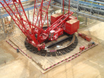 Crane Mat Photo